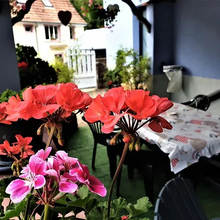 Au Nid De La Foret *